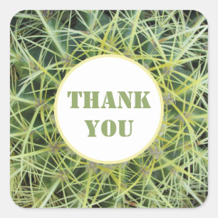Vielen Dank Desert Pflanze Foto Barrel Cactus Quadratischer Aufkleber