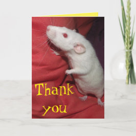 Vielen Dank Dumbo Rat Karte