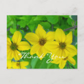 Vielen Dank, ehrenamtlich hübsche gelbe Blumen Postkarte (Vorderseite)