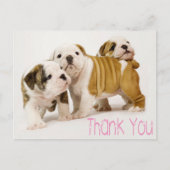 Vielen Dank Englisch Bulldog Puppy Dogs Postcard Postkarte (Vorderseite)