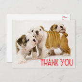 Vielen Dank Englisch Bulldog Puppy Dogs Postcard Postkarte (Vorne/Hinten)