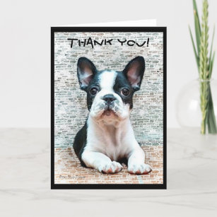 Vielen Dank, Französisch Bulldog Grußkarte Dankeskarte