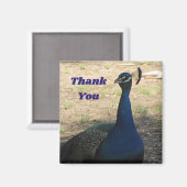 Vielen Dank, Frau Peacock Foto Wertschätzung Magnet (Vorderseite/Rückseite)