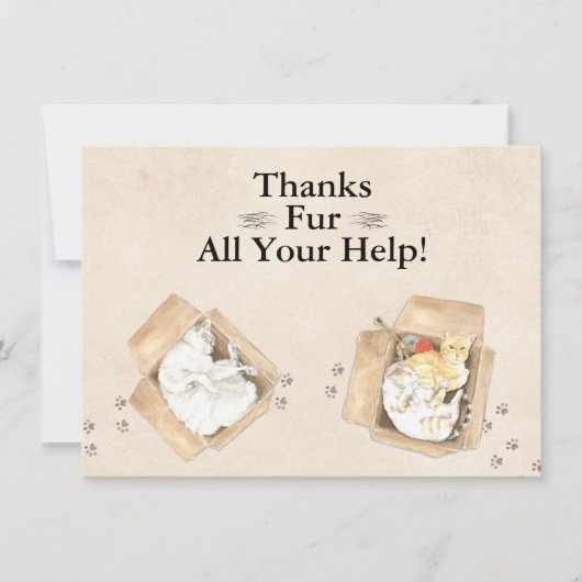 Vielen Dank für all Ihre Hilfe! Katzen in Boxen, D Dankeskarte (Vorderseite)