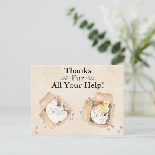 Vielen Dank für all Ihre Hilfe! Katzen in Boxen, D Postkarte (Stehend Vorderseite)