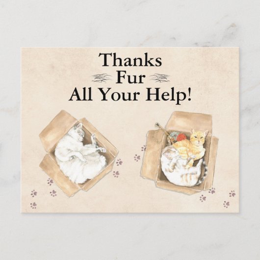 Vielen Dank für all Ihre Hilfe! Katzen in Boxen, D Postkarte (Vorderseite)