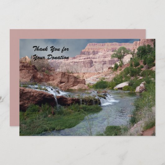 Vielen Dank für die Spende, unberührte Wasserfälle Dankeskarte (Vorne/Hinten)