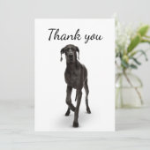 Vielen Dank für Ihr großes Dane Hund Tier Dankeskarte (Stehend Vorderseite)