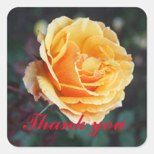 Vielen Dank für Ihr Interesse an der Rose #3. Quadratischer Aufkleber
