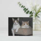 Vielen Dank für Ihr Verständnis Postkarte (Stehend Vorderseite)