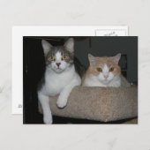 Vielen Dank für Ihr Verständnis Postkarte (Vorne/Hinten)