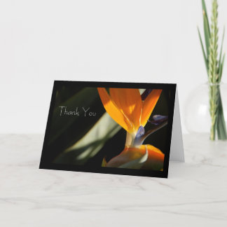 VIELEN DANK FÜR IHRE Bird-of-Paradise Card Dankeskarte