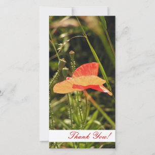 Vielen Dank für Ihre Fotokarte Dankeskarte