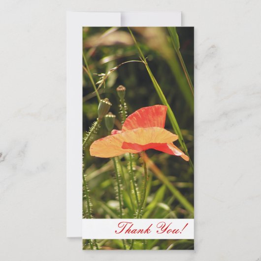 Vielen Dank für Ihre Fotokarte Dankeskarte (Vorderseite)