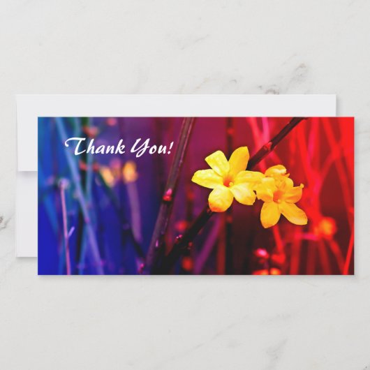 Vielen Dank für Ihre Fotokarte Dankeskarte (Vorderseite)