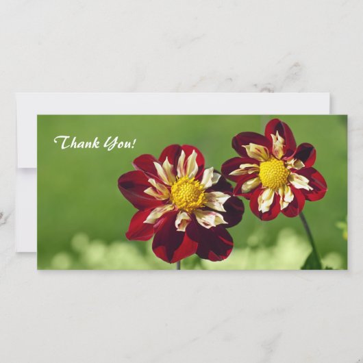 Vielen Dank für Ihre Fotokarte Dankeskarte (Vorderseite)