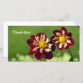 Vielen Dank für Ihre Fotokarte Dankeskarte (Vorne/Hinten)