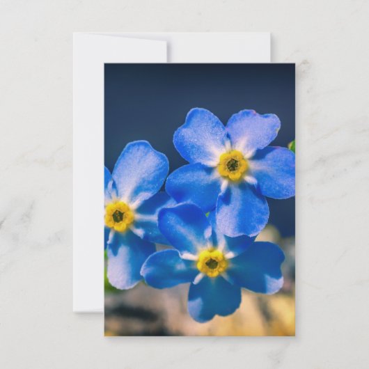 Vielen Dank für Ihre Freundlichkeit Vielen Dank Ca Dankeskarte (Vorderseite)