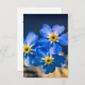 Vielen Dank für Ihre Freundlichkeit Vielen Dank Ca Dankeskarte (Vorne/Hinten)