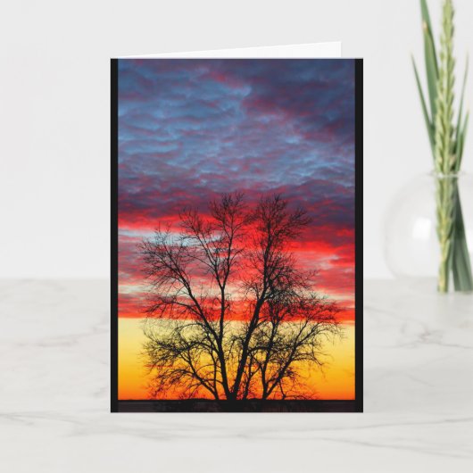 Vielen Dank für Ihren Service für unser Land Dankeskarte (Vorderseite)