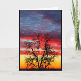 Vielen Dank für Ihren Service für unser Land Dankeskarte