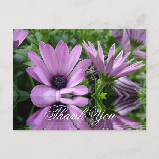 vielen Dank für lila Blume Postkarte (Vorderseite)