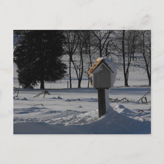 Vielen Dank für unsere Service-Mitglieder ~ 15 Postkarte (Vorderseite)