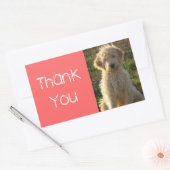 Vielen Dank Goldendoodle Puppy Hund Sticker / Labe (Umschlag)