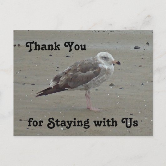 Vielen Dank Guest Beach House Rental Painted Seagu Postkarte (Vorderseite)