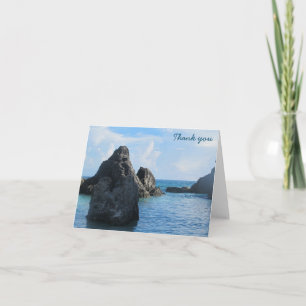 Vielen Dank - Horseshoe Beach Bermuda Dankeskarte