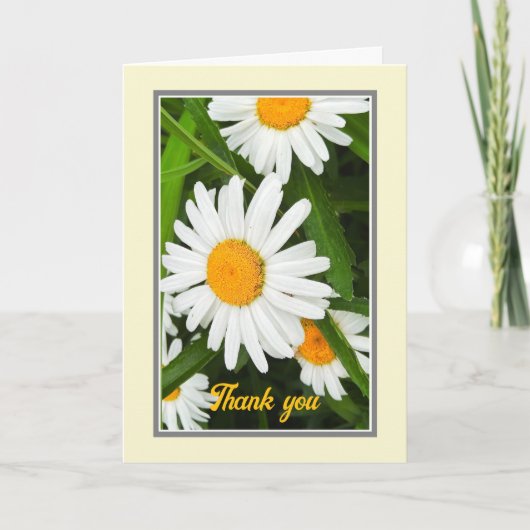 Vielen Dank Hübsche White Daisies Custom Card Dankeskarte (Vorderseite)