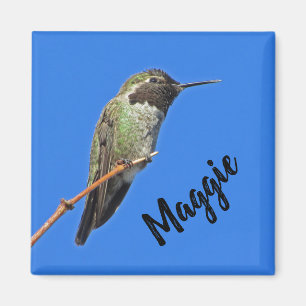 Vielen Dank Hummingbird Foto Nature Apprecision Magnet