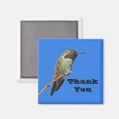 Vielen Dank Hummingbird Foto Nature Apprecision Magnet (Vorderseite/Rückseite)