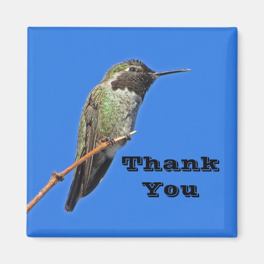 Vielen Dank Hummingbird Foto Nature Apprecision Magnet (Vorne)