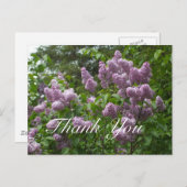 Vielen Dank, Lila Lilac Bush Postkarte (Vorne/Hinten)