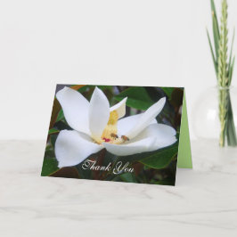 Vielen Dank Magnolia und Honeybees Card Dankeskarte