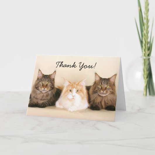 Vielen Dank Maine Coon Cats Grußkarte Dankeskarte (Vorderseite)