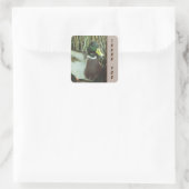 Vielen Dank, Mallard Duck Foto Nature Birds Quadratischer Aufkleber (Tasche)
