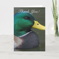 Vielen Dank Mallard Duck Grußkarte