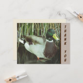 Vielen Dank, Mallard Duck Wild Bird. Karte (Vorderseite/Rückseite Beispiel)
