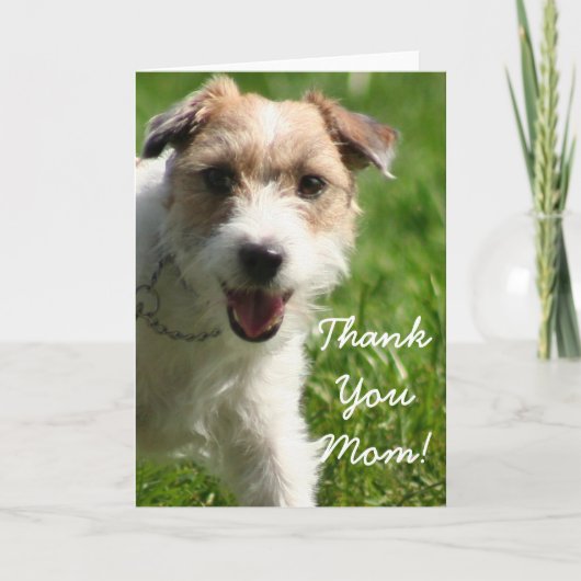 Vielen Dank Mama Jack Russell Terrier Grußkarte Dankeskarte (Vorderseite)