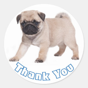 Vielen Dank Mops Welpe Hund Sticker / Siegel