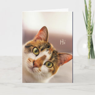 Vielen Dank, Niedlich Cat Kitten Animal Card Karte