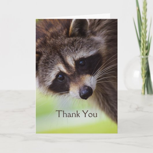 Vielen Dank Niedlich Raccoon Animal Fun Dankeskarte (Vorderseite)