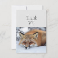 Vielen Dank Niedliches Schlafen Red Fox Tier