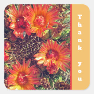 Vielen Dank Orange Cactus Blume Foto Wertschätzung Quadratischer Aufkleber