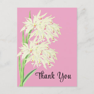 Vielen Dank Orchid Floral Postcard Postkarte
