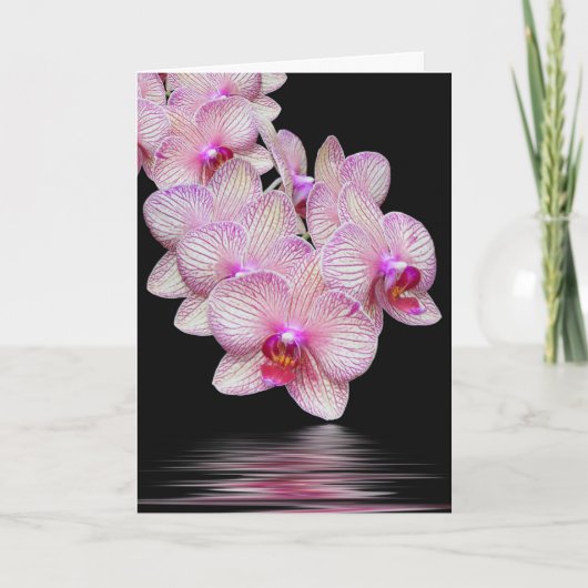 Vielen Dank Orchid Sympathy Card Karte (Vorderseite)