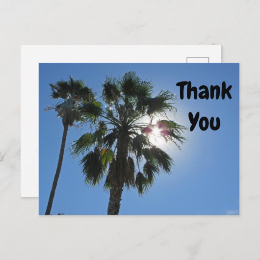 Vielen Dank, Palm Tree Tropical Sunburst Aufwertun Postkarte (Vorne/Hinten)