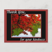 Vielen Dank Post Cards Fall Scene Postkarte (Vorderseite)